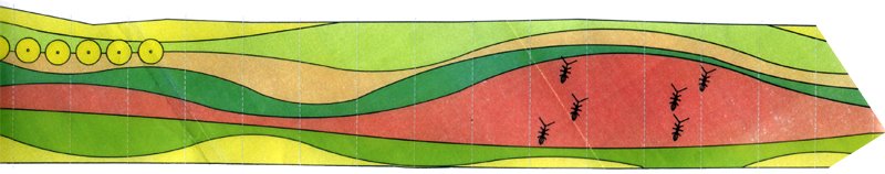 Las hormigas de El Bercial