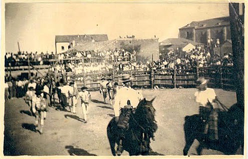 Toros en el aparcamiento del Hospitalillo