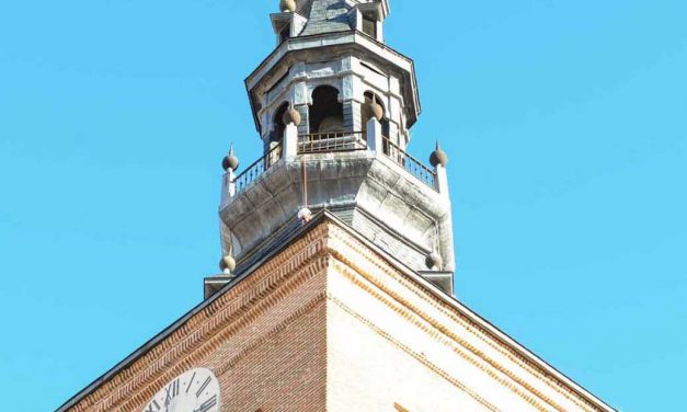 La guerra del coronel de la Base Aérea contra las cigüeñas de la Catedral