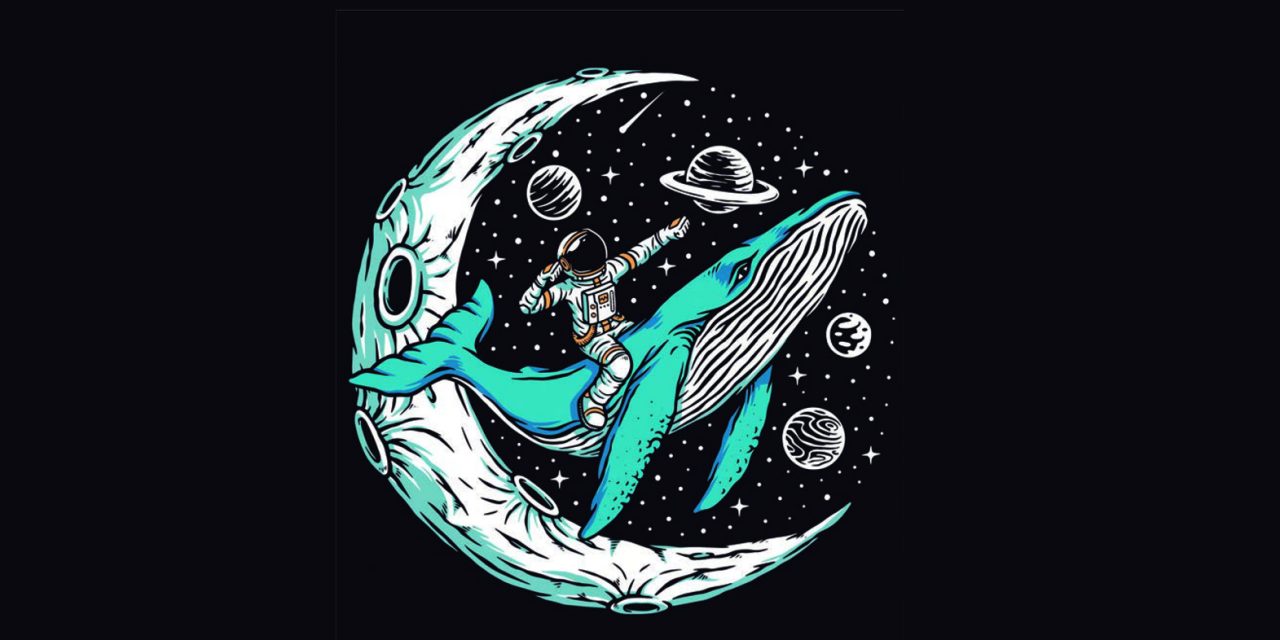 El peregrino de las estrellas