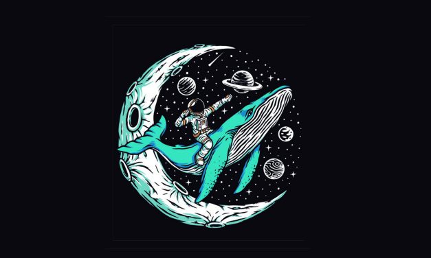 El peregrino de las estrellas